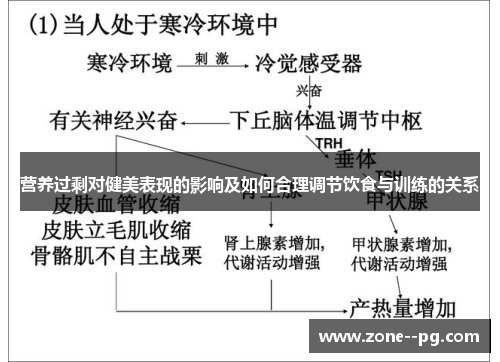 营养过剩对健美表现的影响及如何合理调节饮食与训练的关系 营养过剩对健美表现的影响及如何合理调节饮食与训练的关系